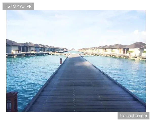 大阪刚在马尔代夫买岛，训练计划是每天醒来看海发呆？